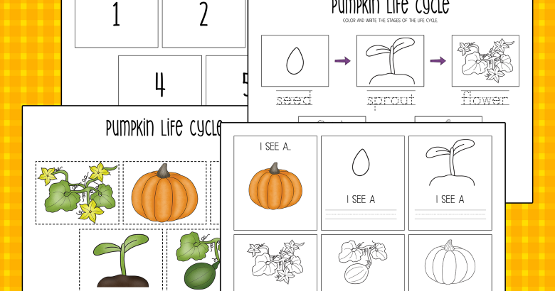 printable-pumpkin-life-cycle-worksheets-messy-little-monster