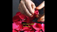 garland-with-rose-petals.png