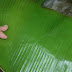 Daun pisang to lepat pisang