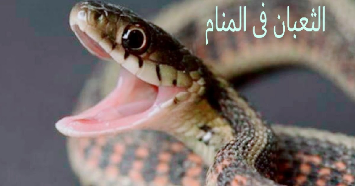 رؤية