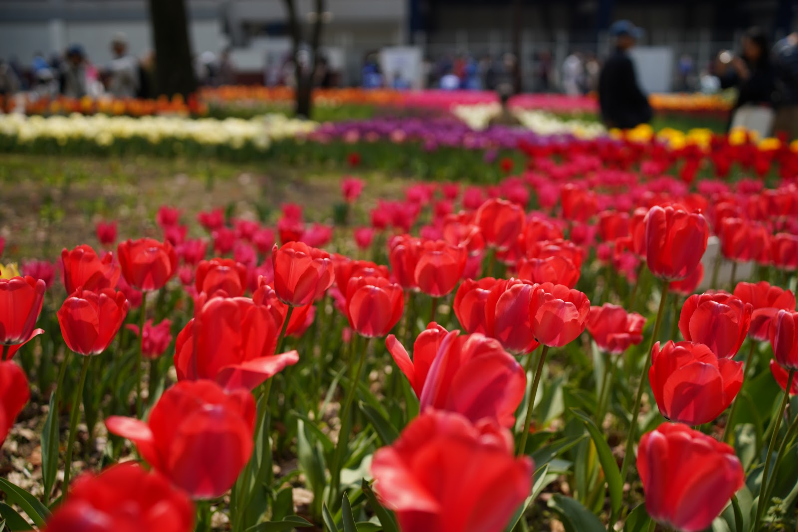 DSC00046.JPG