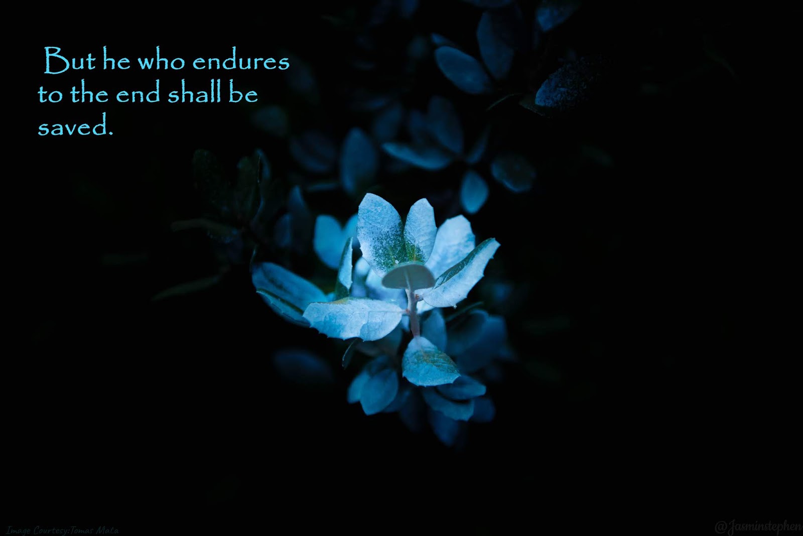 Matthew 5 48 matthew-5-48-niv