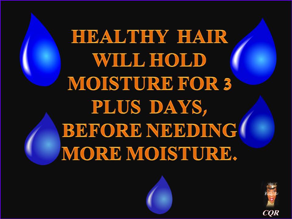 Coilyqueens The Coilyqueens Haircare Regimen