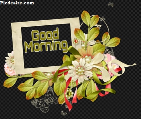 Good Morning English | 15 Best Good Morning Images in English Good Morning English | 15 Best Good Morning Images in English