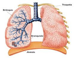 doença pulmonar