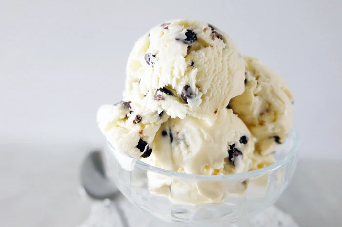 mint chocolate chip ice cream dished