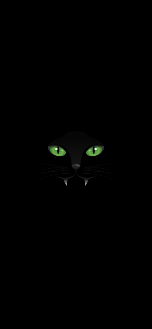 black cat dark amoled