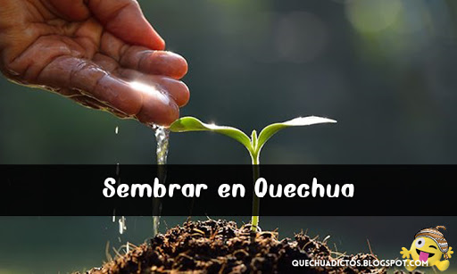 como se dice sembrar en quechua