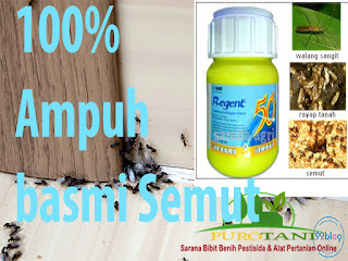 Insektisida Pembasmi Semut Regent 50 Sc+Zpt | Toko Pertanian Online Indonesia