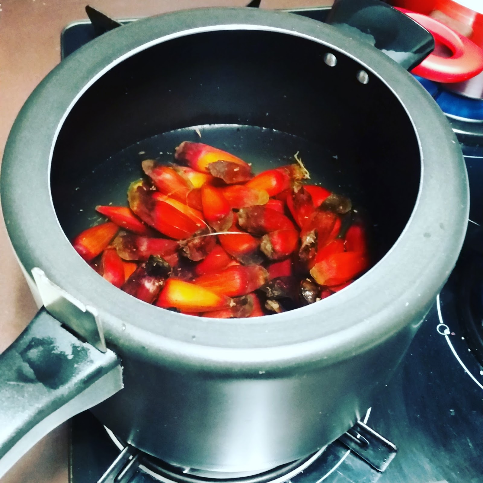 PINHÃO: TEMPO DE COZIMENTO