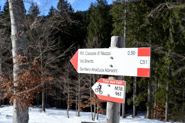 escursioni ciaspole madonna di campiglio