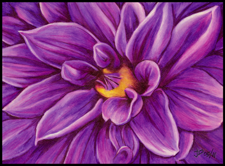 Colored Pencil Drawings Of Flowers Abstract