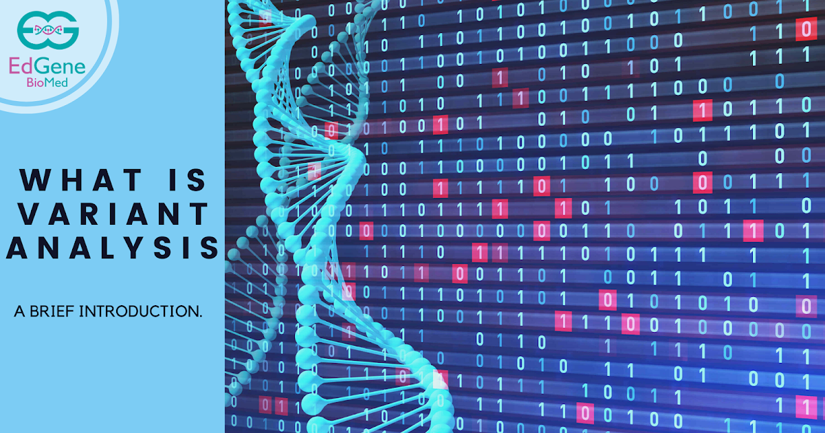 What is Variant Analysis and types of Variant Analysis? A Brief ...