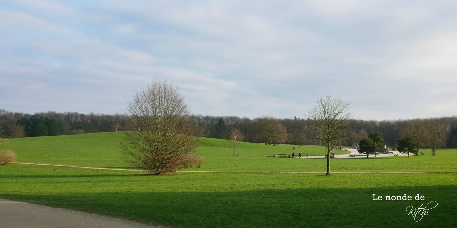 Le Monde De Kitchi Marz 2018