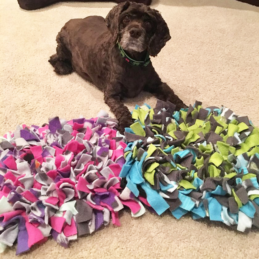 Bed Rest Games for Dogs PostSurgery Australian Dog Lover