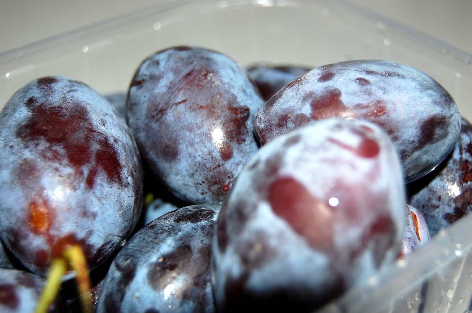 Mittwochskuchen Mittwochskuchen