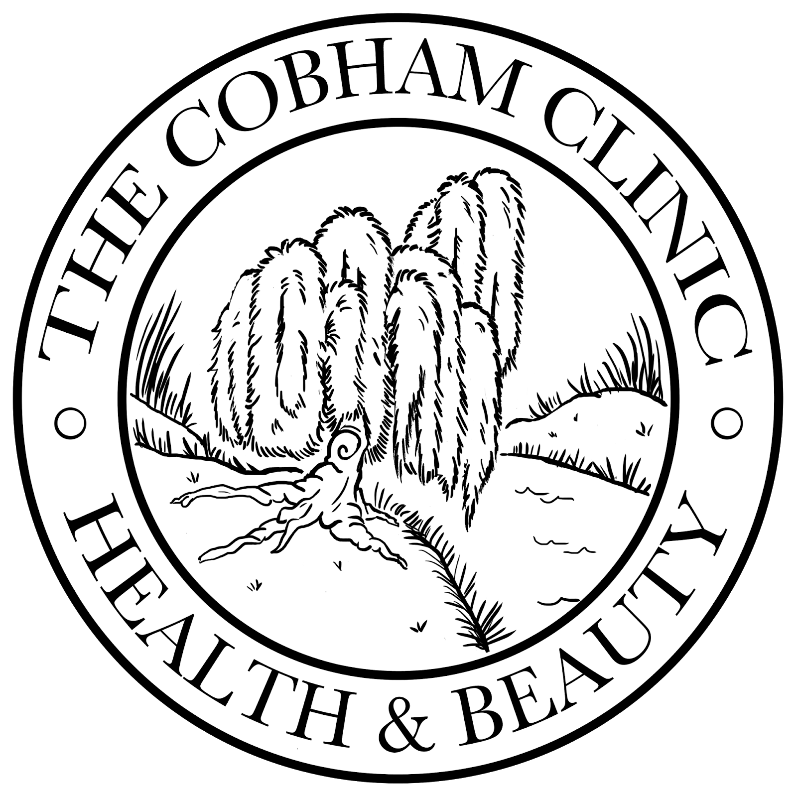 Bananajims Cobham Clinic Design Work