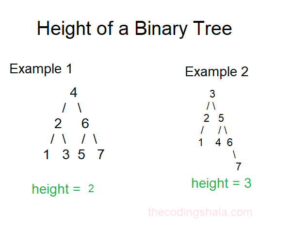 Height of a Binary Tree - The Coding Shala