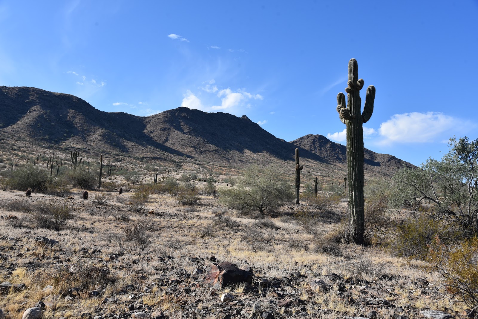 Arizona Hiking RANGER TRAIL