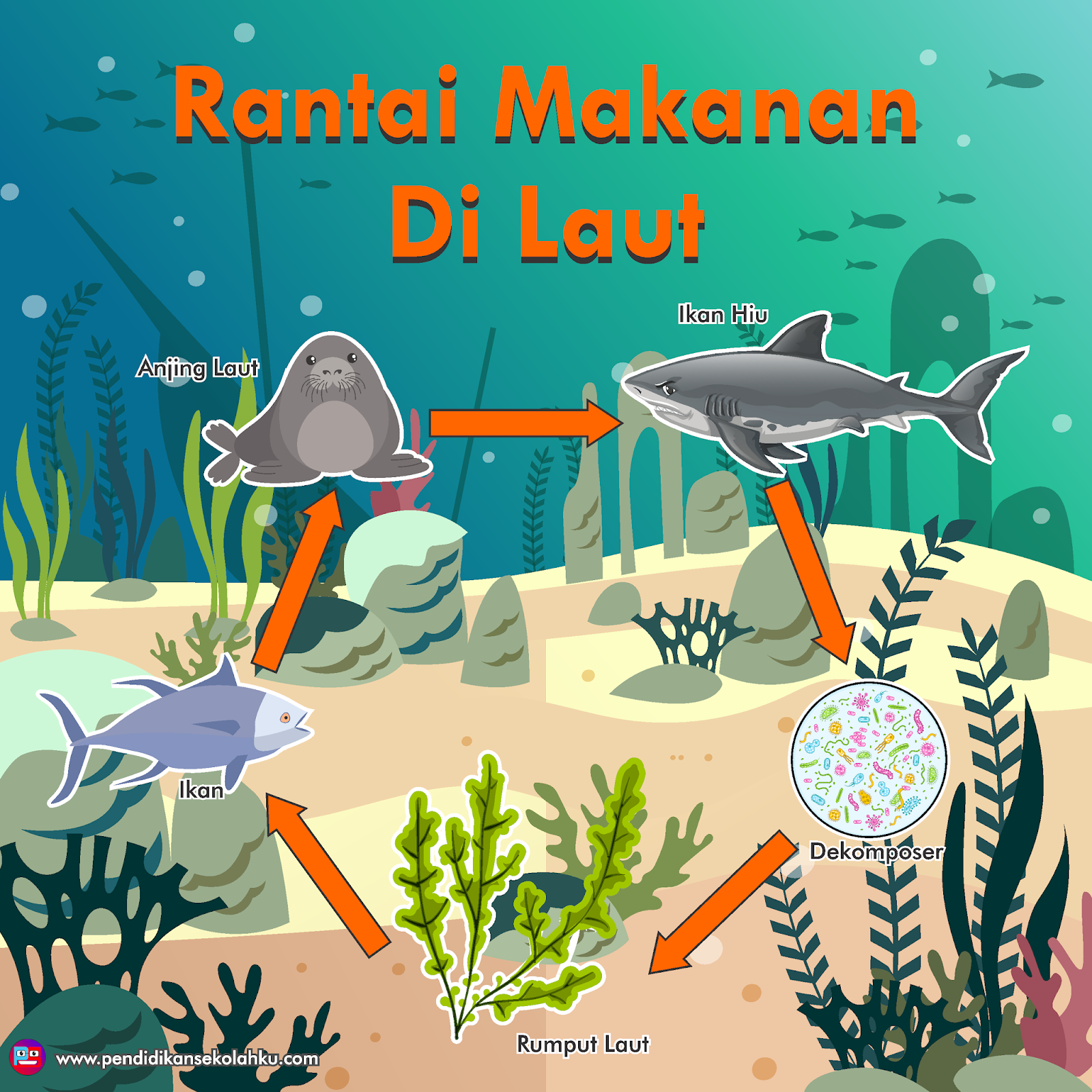 Jaring-jaring dan Rantai Makanan Hewan Di Sawah, Hutan, Savana Dan Laut