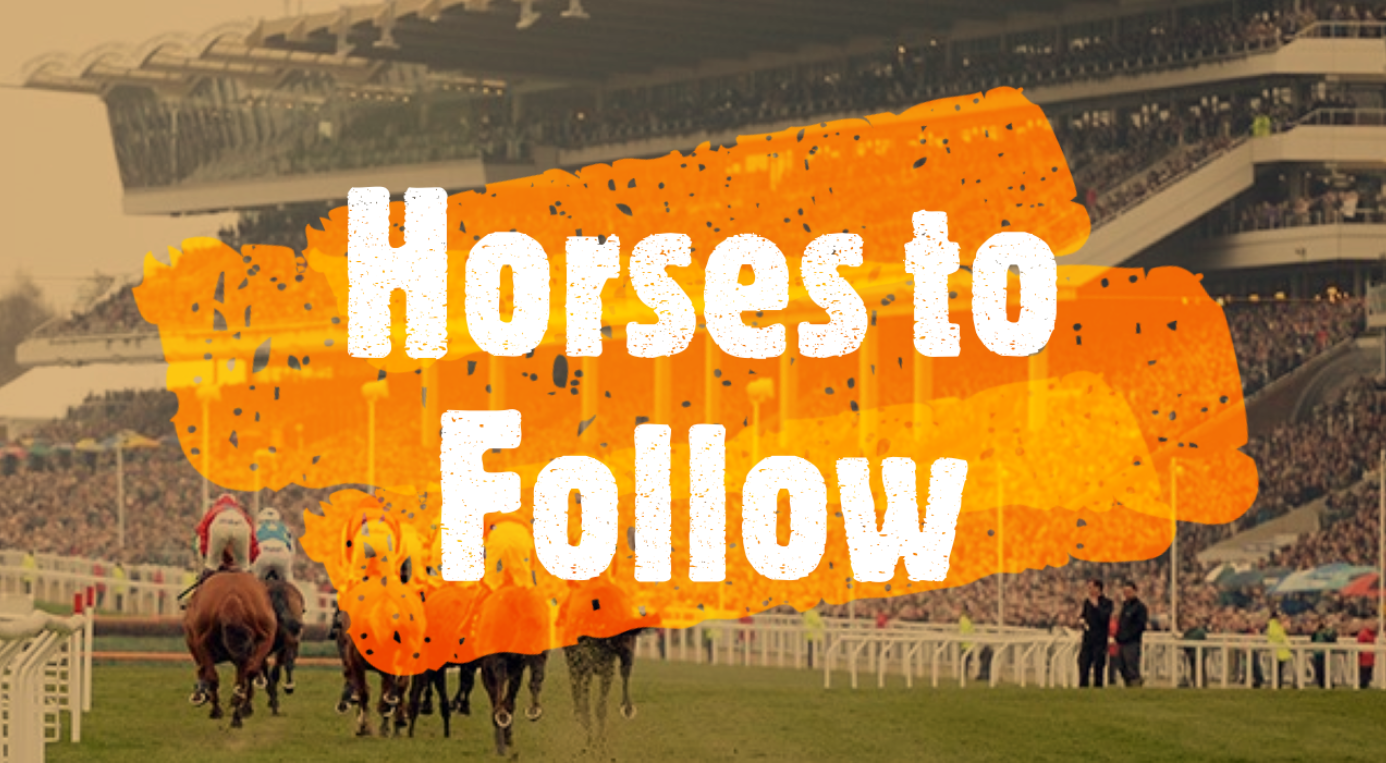 10 Horses to Follow