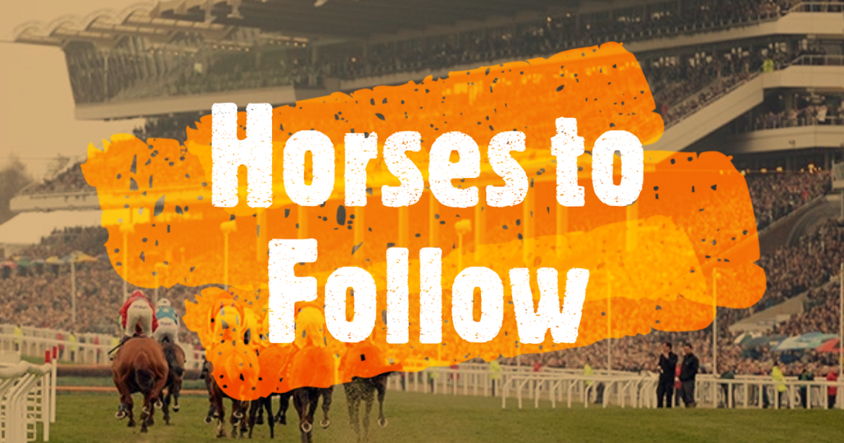 10 Horses to Follow