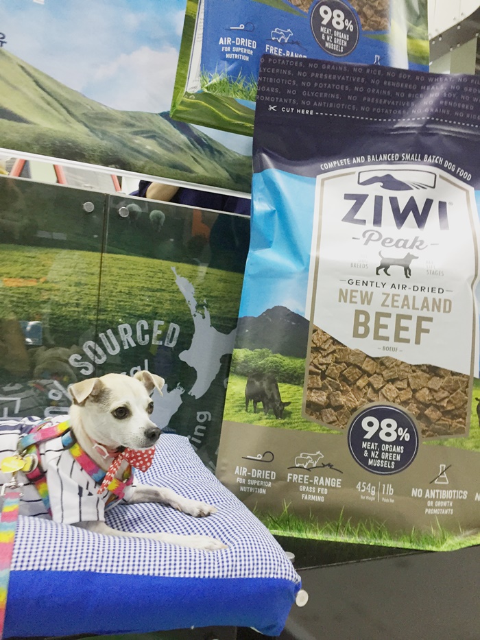 HAPPYHAZEL Korea Pet Show 2017 KOPET2017