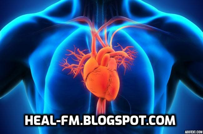 استراتيجيات للحفاظ علي صحة القلب استراتيجيات للحفاظ علي صحة القلب