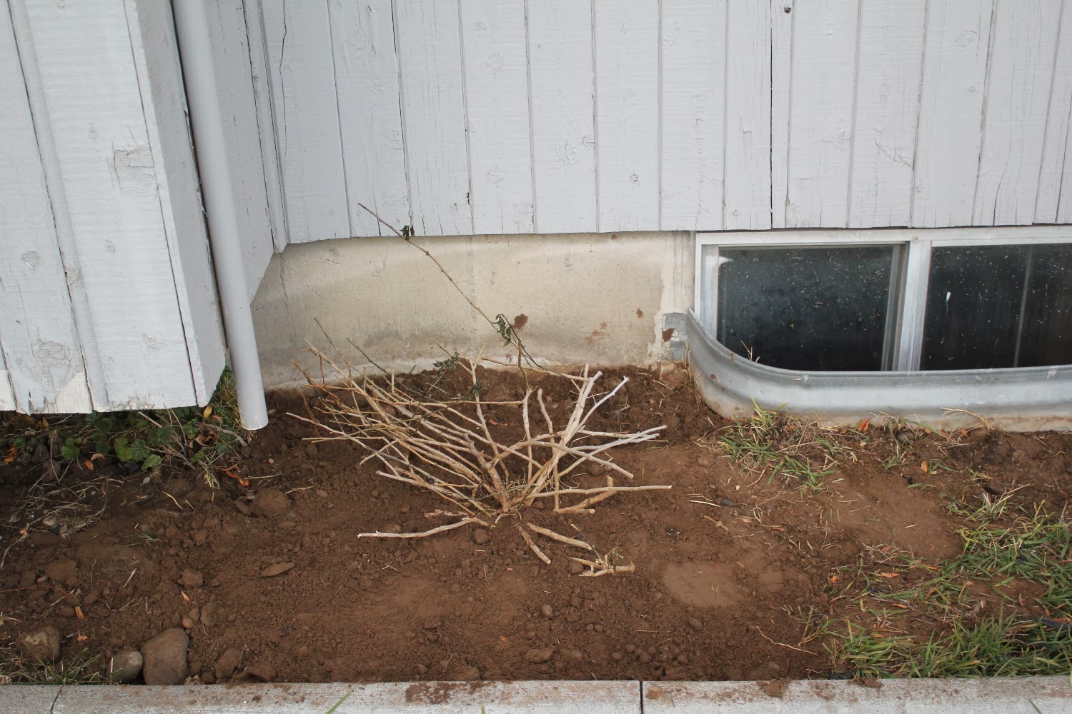 Kar's Kith and Kin: Flashing and Flooding