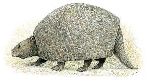 fauna prehistorica de Chile Parapropalaeohoplophorus