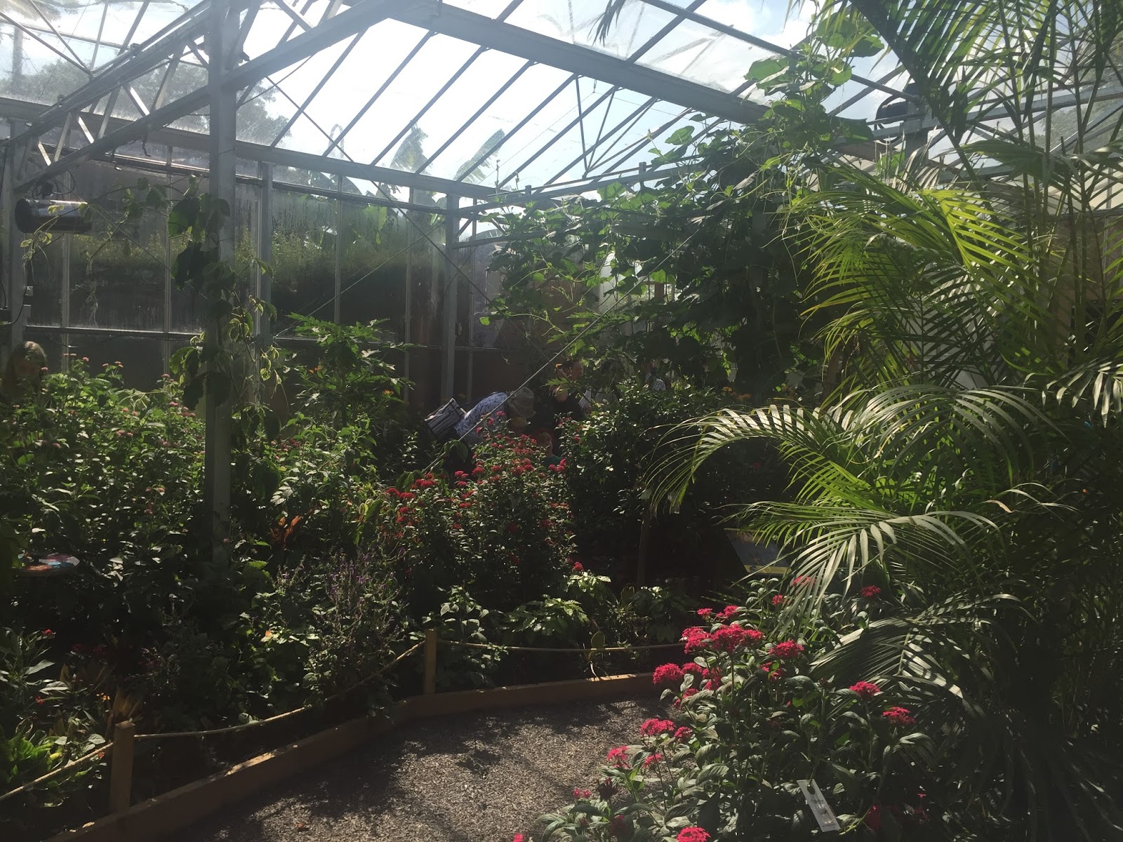 The Horniman Museum Butterfly House The Ark In Space