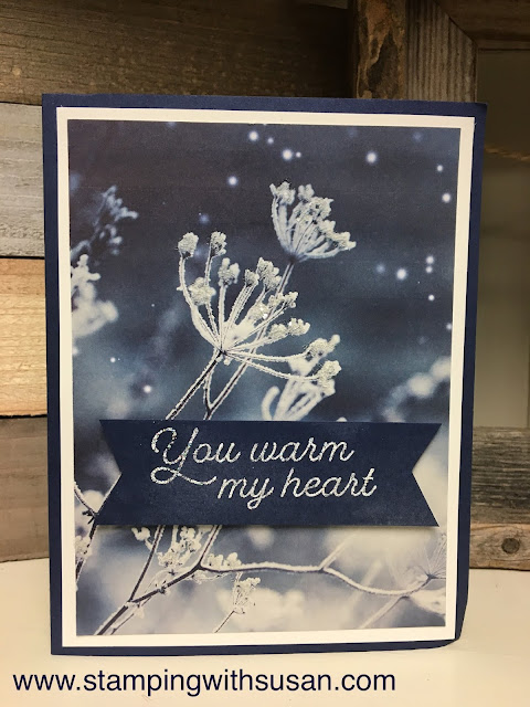 Stampin' Up!, Feels Like Frost Suite,Shimmer White Emboss Powder, 2019 Holiday Catalog