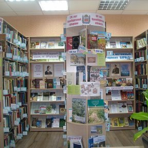 П-Покровская сельская модельная библиотека