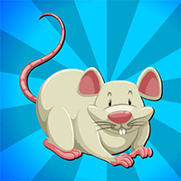 AvmGames Crazy Rat Escape