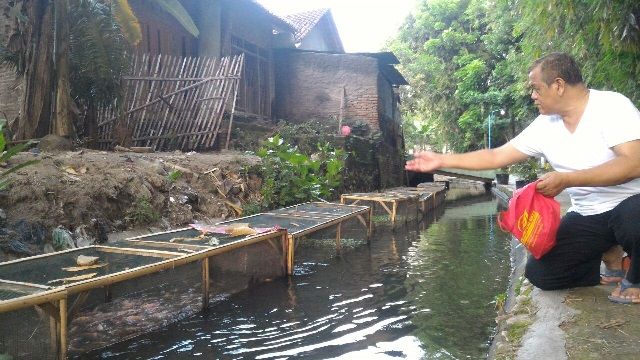 Berikut ini adalah wadah-wadah budidaya ikan konsumsi yang sering digunakan kecuali