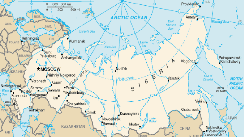 Key sectors: Russia between Western and Eastern: Economic areas to take