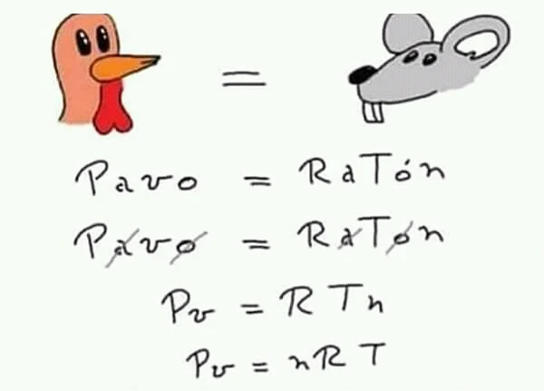 PAVO = RATON