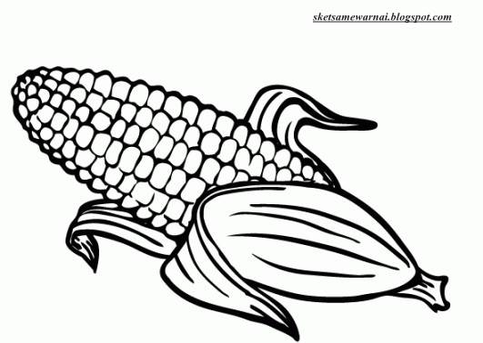 Mewarnai Daun Jagung Warna Key