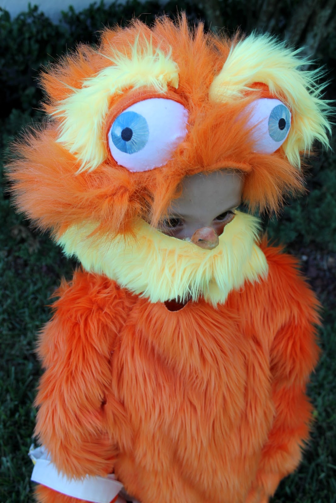 30. laci jean Lorax costume with Trufulla Tree candy bag.