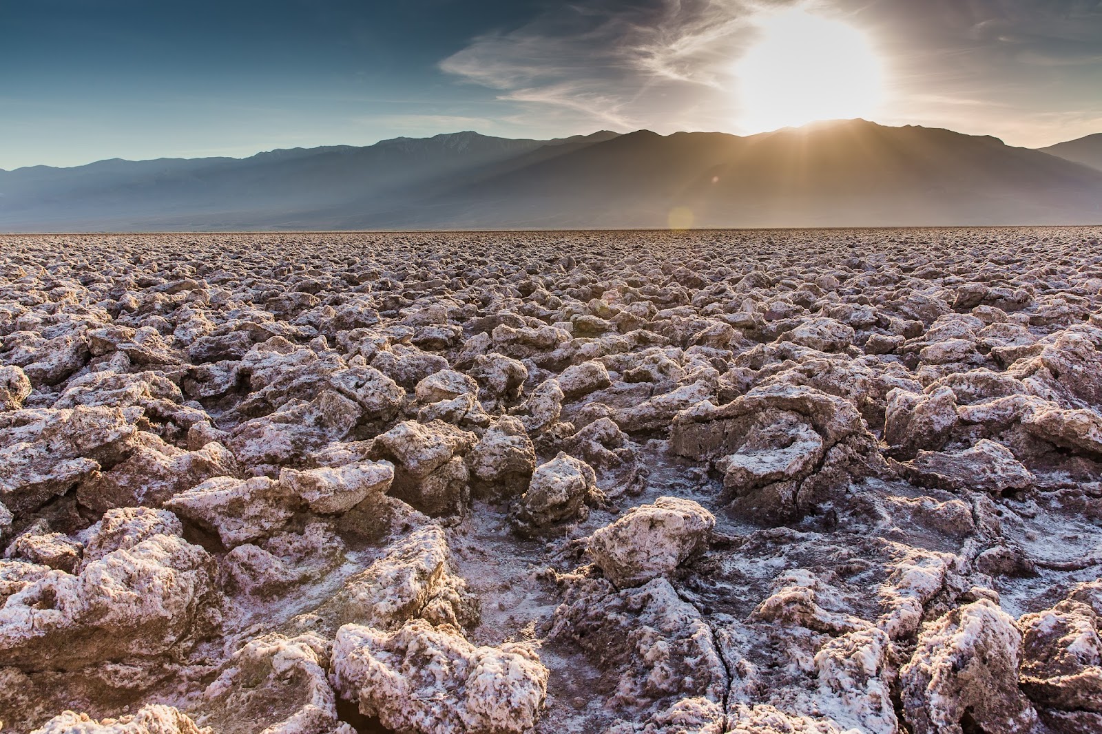 Harpreet Grewal Harpreet Grewal