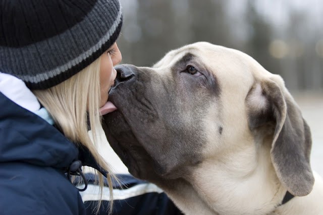With a fearful dog, recognize you are in it for the long haul and celebrate the small successes along the way, like this woman being kissed by her dog