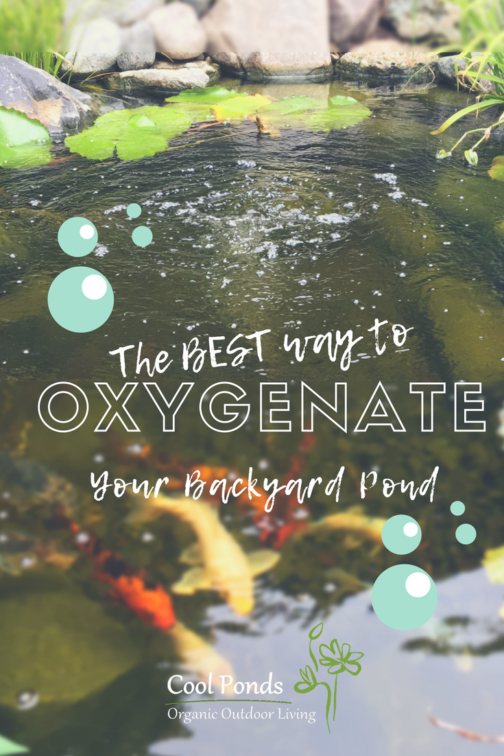 The Best Way to Oxygenate Your Pond