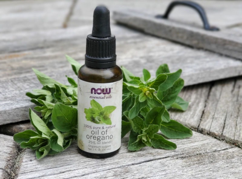 Oregano Natural Antibiotic for Chickens Fresh Eggs Daily® with Lisa