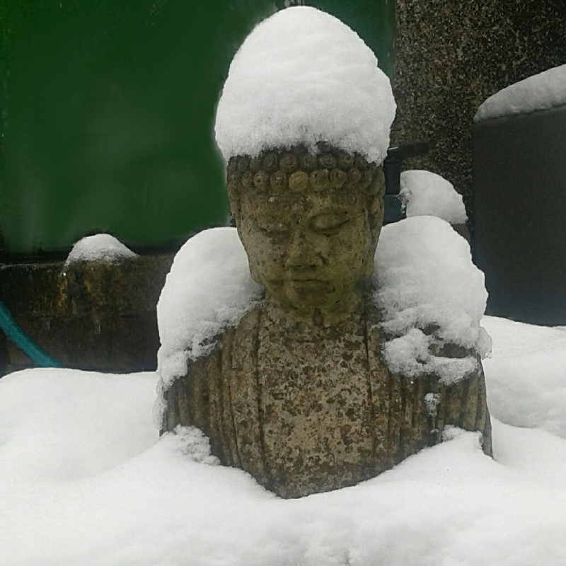 Aro Ling Cardiff Do Buddhists Celebrate Christmas? February Retreat and Seasons Greetings