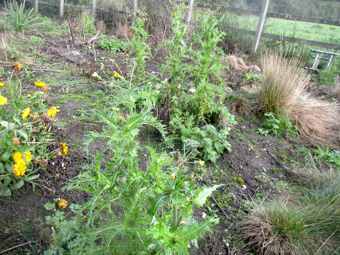 Rotary Botanical Gardens Hort Blog