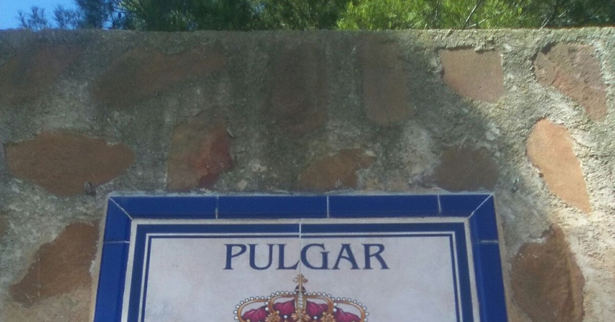 Escudo de Pulgar (Toledo)