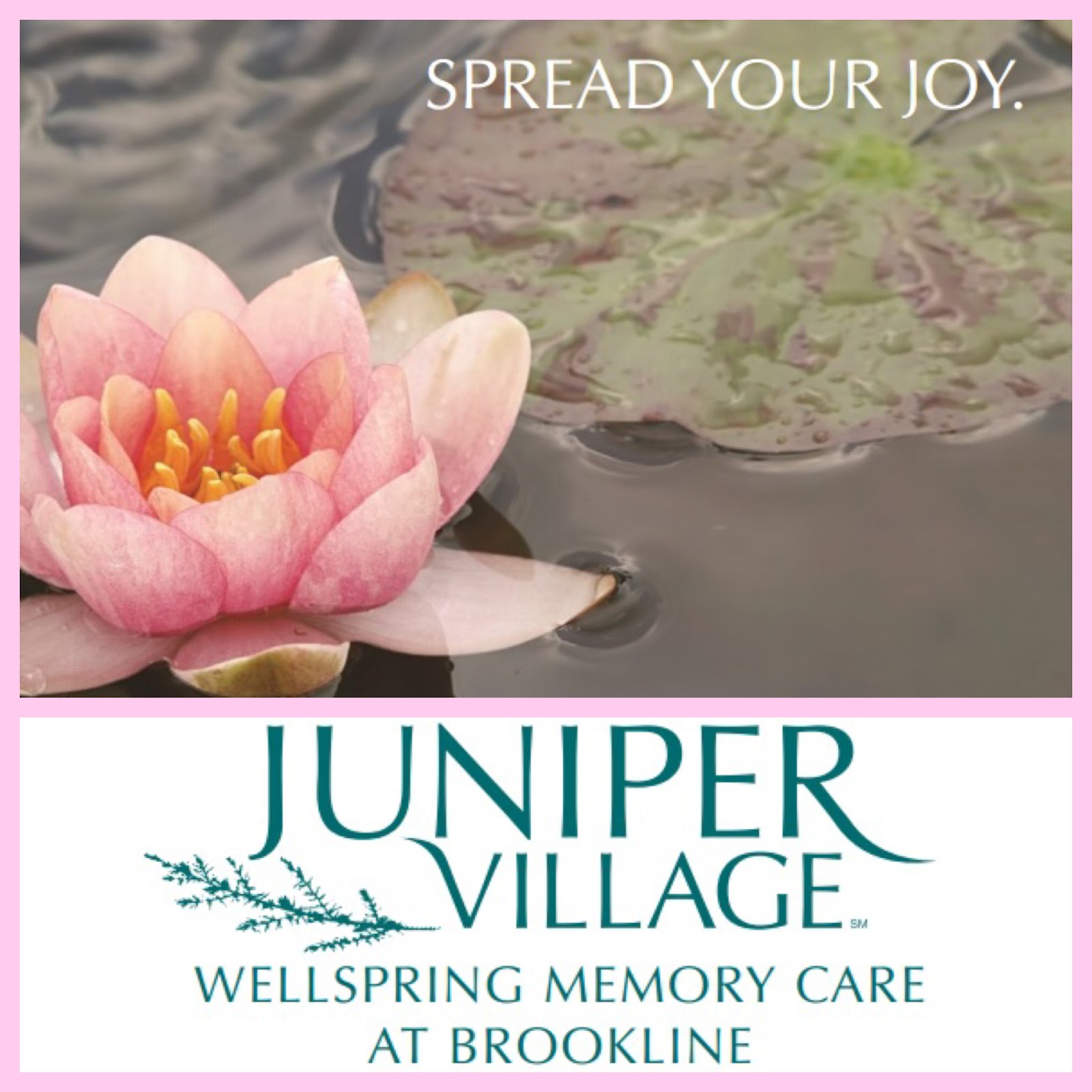 Juniper Village At Brookline Wellspring Memory Care September 2015 juniper-village-at-brookline-wellspring-memory-care-september-2015