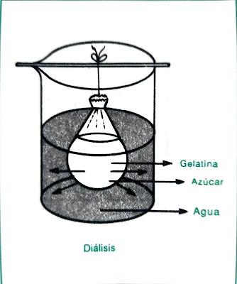 ejemplo de diálisis