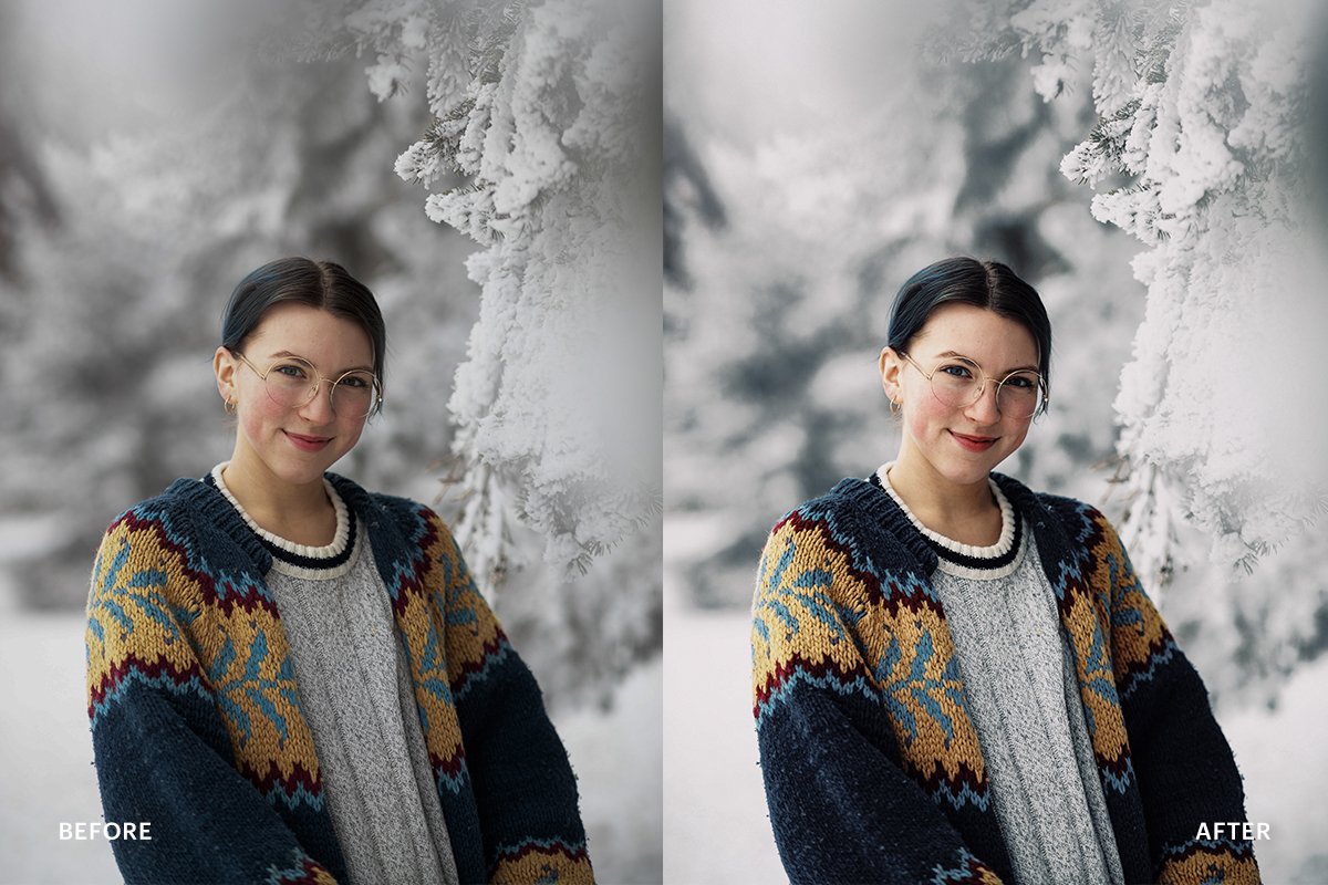 Lightroom Preset Snow Winter (DNG)