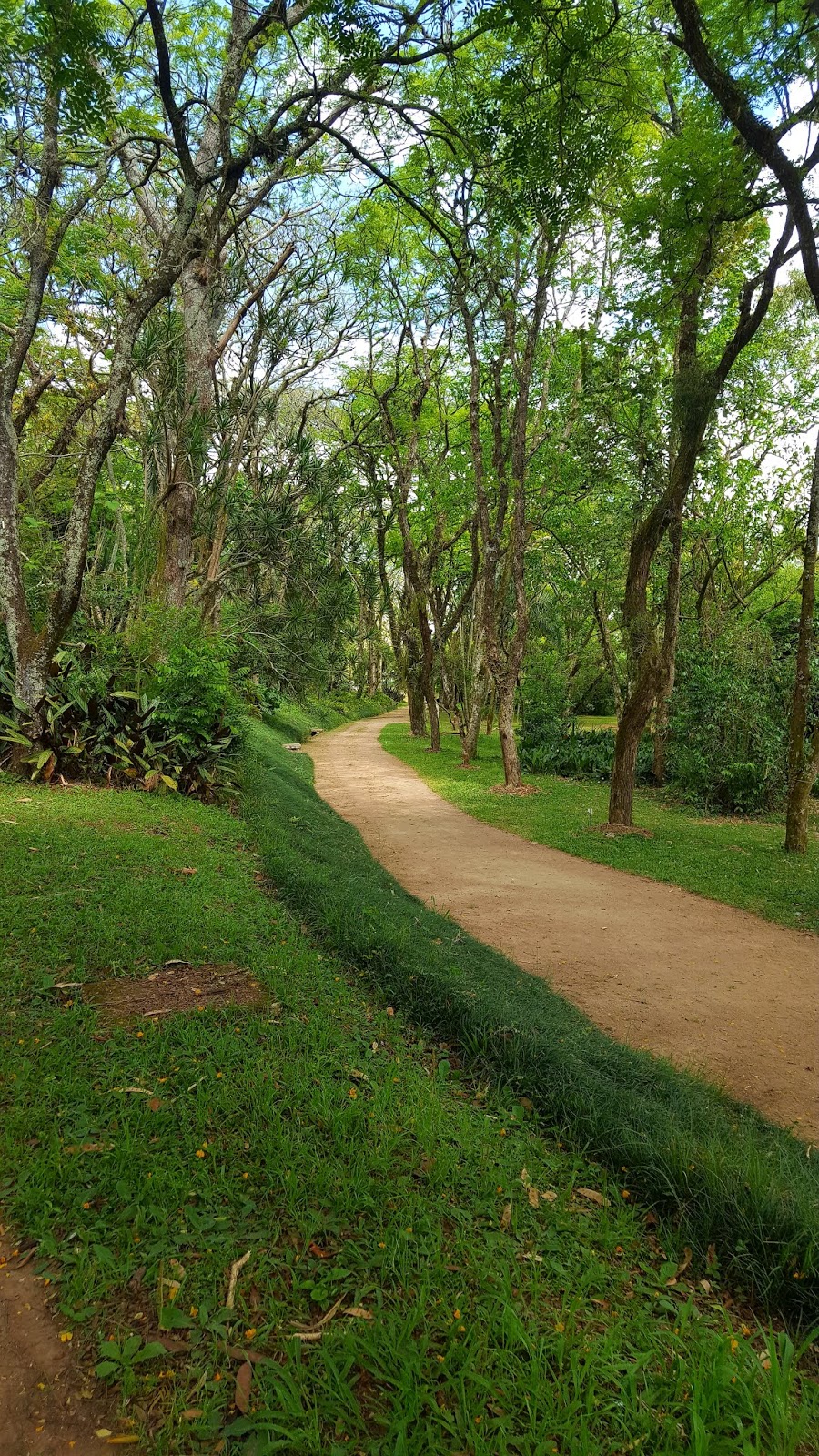 Jardim Botânico Jardim Botânico